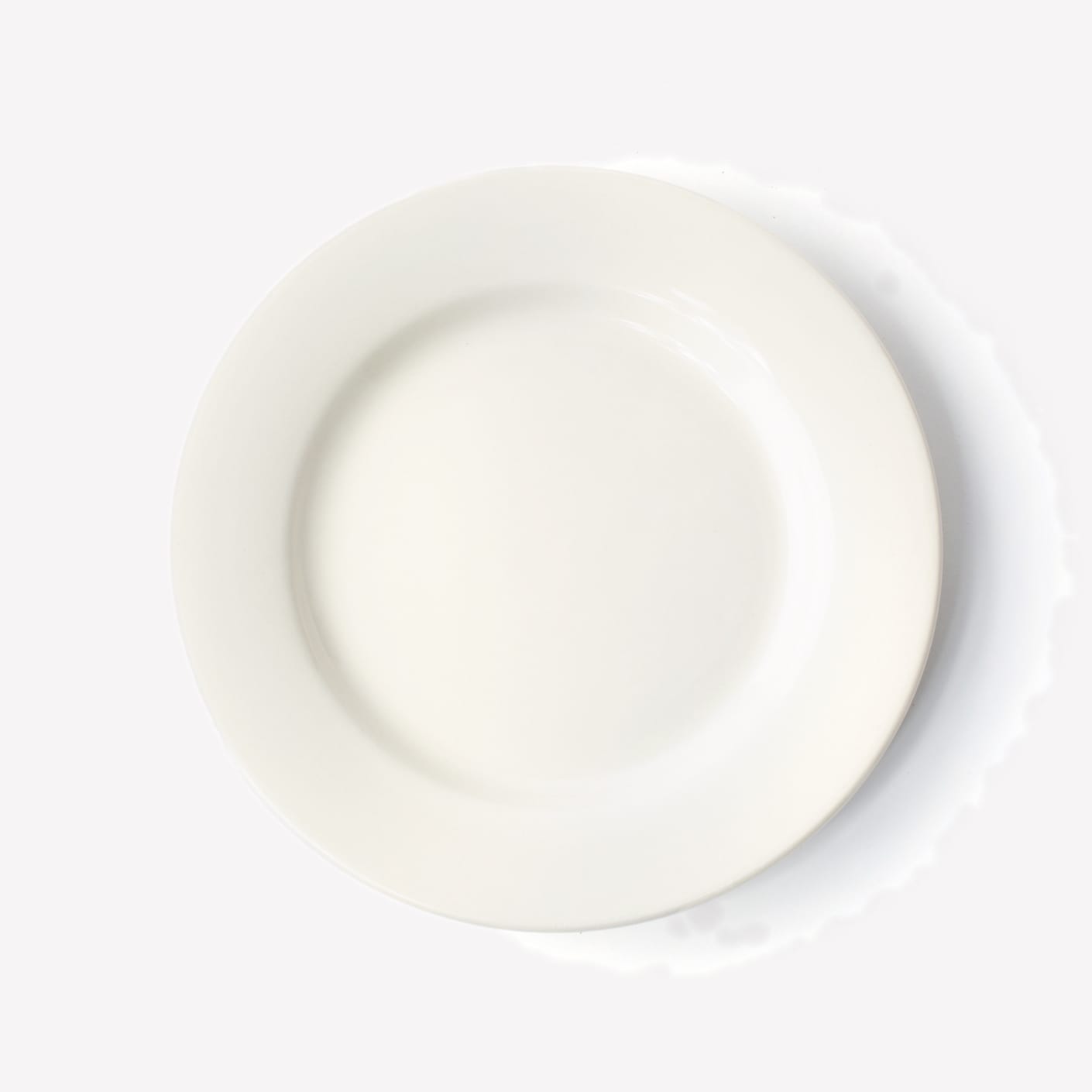 Fishs Eddy Diner White Dinner Plate Set of 2 Bespoke Post