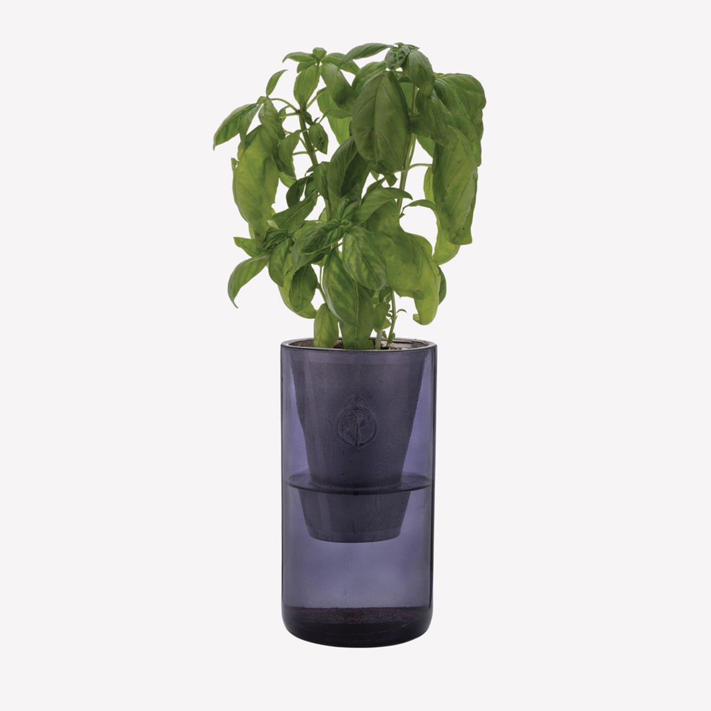 Modern Sprout Hydroponic Grow Kit Basil & Parsley Bespoke Post