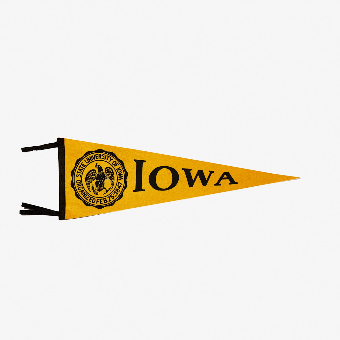 Oxford Pennant University of Iowa Vintage Pennant, Large Bespoke Post