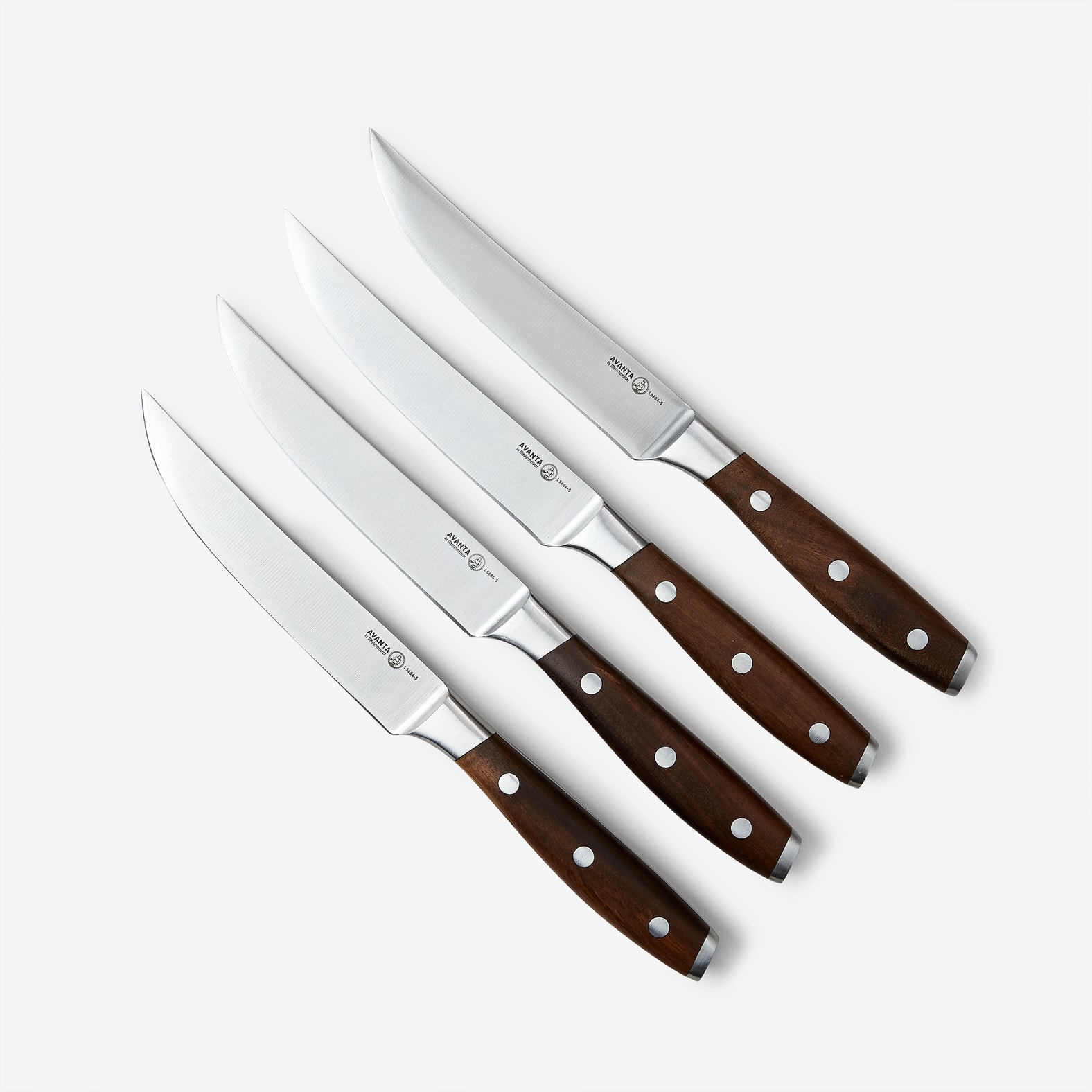 Avanta 4 Piece Stainless Fine Edge Steak Knife Set