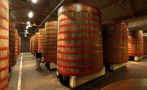 A small group of Rodenbach's maze of aged oak vats at their brewery in Belgium